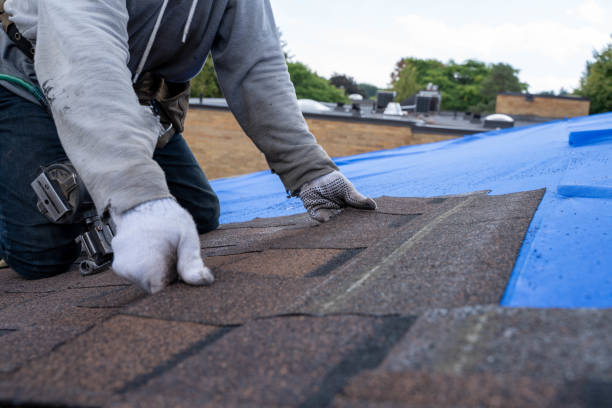 Roof Gutter Cleaning in Lake City, AR